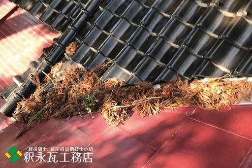 屋根のすんば、落ち葉掃除　立山町神社3.jpg
