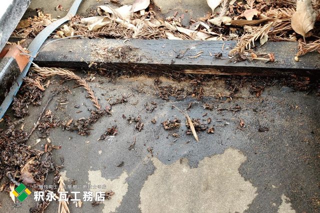 富山市雨漏り修理　瓦屋根現場調査2.jpg