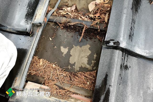 富山市雨漏り修理　瓦屋根現場調査1.jpg